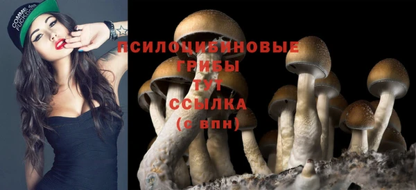 стаф Балабаново